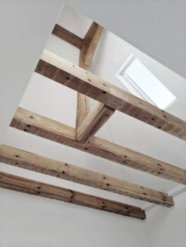 Logo super future collective